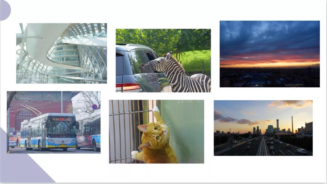 william威廉中文官网