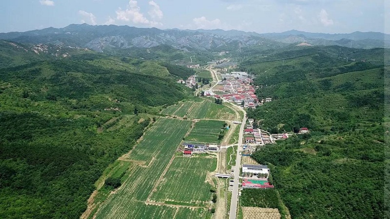 william威廉中文官网