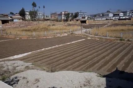 william威廉中文官网