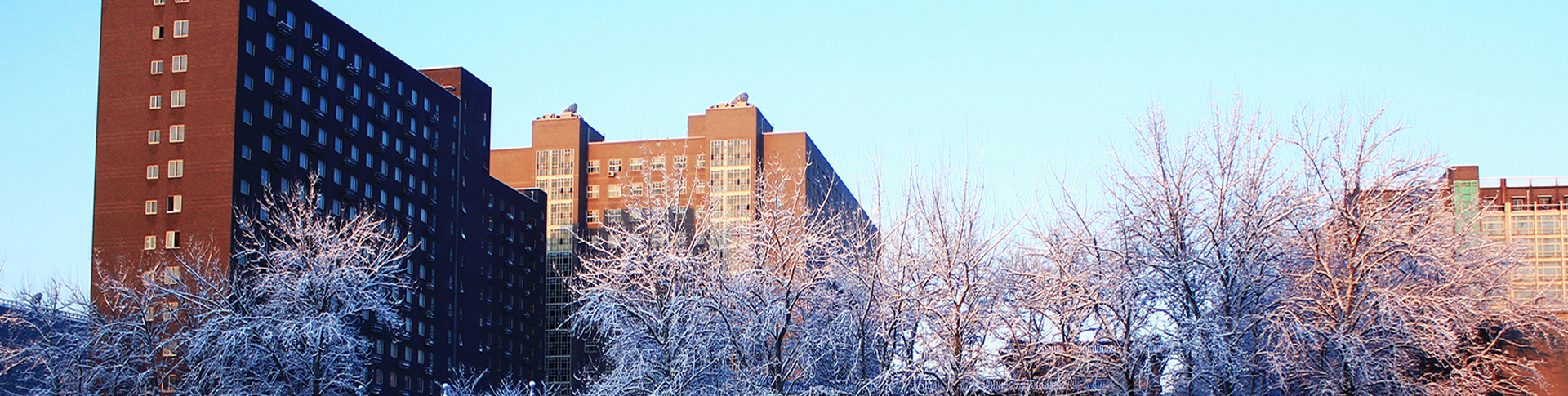 william威廉中文官网